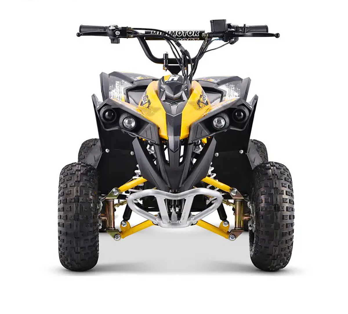 Renegade Ranger 1200w 48v 20ah battery set kids quad