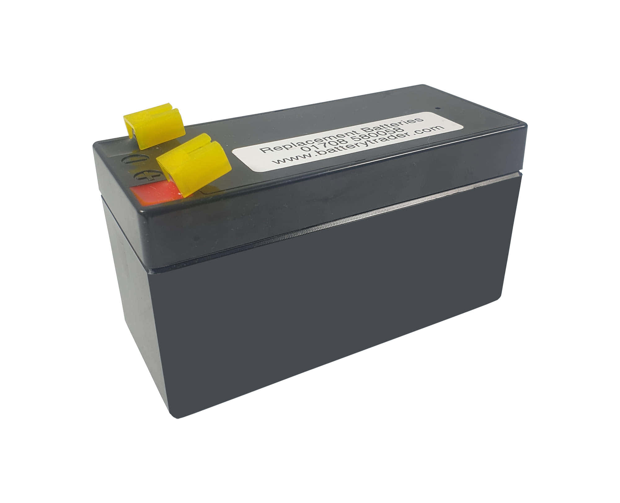 Dolphin bathing Bath Belt battery 24v replacement