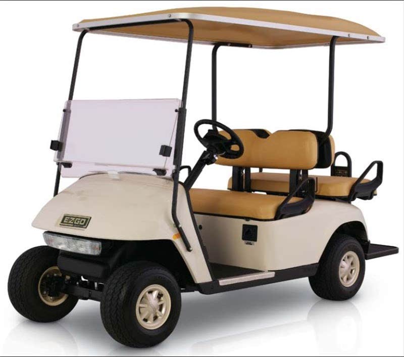 Textron EZ-GO TXT-PDS golf cart battery