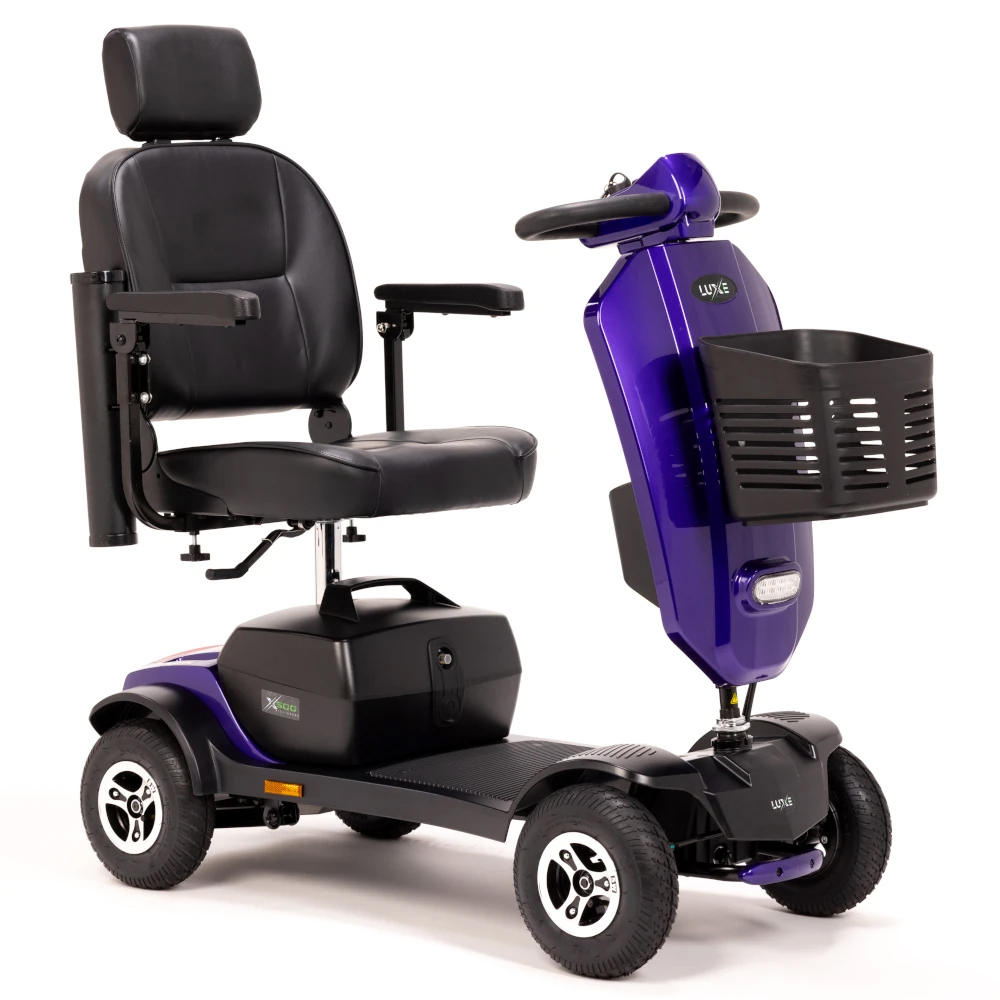 Luxe Mobility X500 battery pack AGM