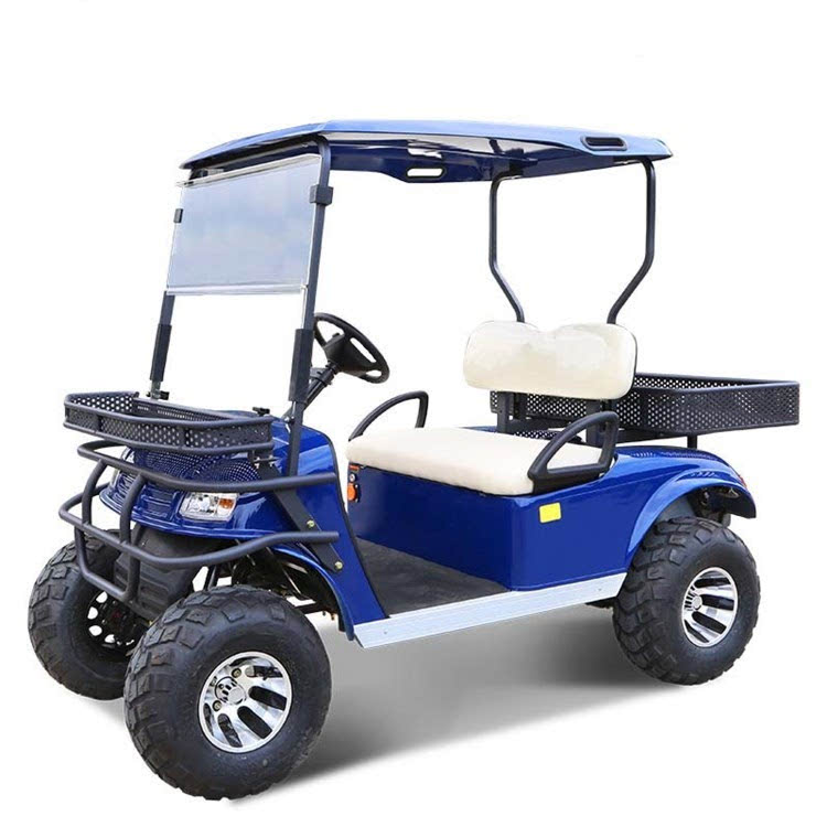 Overlander-2 and 4 golf buggy battery replacement