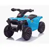 RiiRoo 6v-ATV-2020 2021 Beast Quad Bike battery replacement