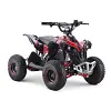 Renegade Ranger 1200w 48v 12ah battery quad bike replacement
