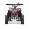 ATV-3EC 1200W 48V battery set 12ah 20ah kids mini quad