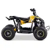 Renegade Ranger 1200w 48v 20ah battery set kids quad