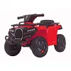 RiiRoo 6v-ATV-2020 2021 Beast Quad Bike battery replacement