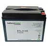 Tianneng-6-EVF-65 battery 12v AGM sealed VRLA