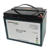 Stormborn-6-EVF-58 Wolf Samson battery 12v AGM