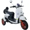 GP500 JH500 BZ500 battery Green-Power mobility scooter