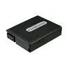 Sony DCR-HC1000 DCR-HC1000E DCR-IP1 camera battery Li-ion 7.4V