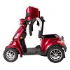 GP500 JH500 BZ500 battery Green-Power mobility scooter