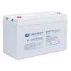 HUAFU-6-EVF-100 battery replacement AGM 12v