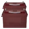 Tennant T290 scrubber dryer battery replacement set