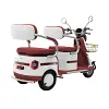 Massimo MGC E-Trike 800w 60v 32ah battery pack