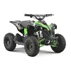 Renegade-Race-X 36V 1000W battery pack electric quad bike