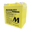 YB30CL-B battery 12v 30ah rechargeable replacement