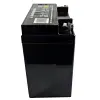 Champion 100558 generator battery replacement
