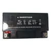 Honda Freeway-250 battery replacement motorbike 12v