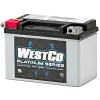 Yamaha FZR400 Exup SP all battery replacement motorcycle 12v