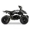 EBOX ACDC Electric ATV battery replacement