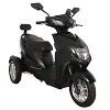MC-4 ZT-4 Beast battery Green-Power electric mobility scooter