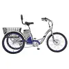 eZip Tri-Ride battery pack electric bike triple rechargeable