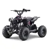 RiiRoo OneMoto OneQuad EX3S 1200W 48v battery Quad Bike