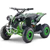 Renegade Race-X-48V 1000W battery quad bike replacement