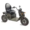 Tramper-TWS battery Krystal 3-wheeler mobility scooter