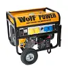 Wolf-Power-WP7500E generator battery replacement