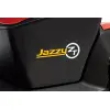 Pride Jazzy-Zero-Turn-8 battery replacement mobility scooter