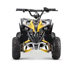 Renegade Ranger 1200w 48v 20ah battery set kids quad