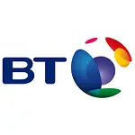 BT phone battery