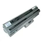 Sony VGP-BPL21 VGP-BPS21 VGP-BPS21A VGP-BPS21B battery