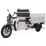 Jinpeng Massimo MGC Max Cargo 1000w battery set 60v