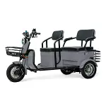 Massimo MGC E-Trike 800w 60v 32ah battery pack