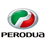 Perodua battery