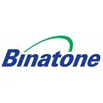 Binatone phone battery