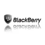 Blackberry mobile phone battery range