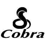 Cobra two-way radio, Walkie Talkie batteries