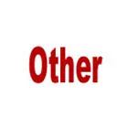 Other