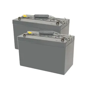 NSS-20b Scrubber twin battery option replacement