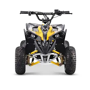 Renegade Ranger 1200w 48v 20ah battery set kids quad
