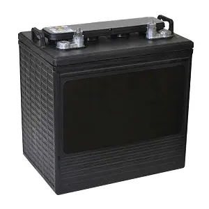 105138301 JCI GC8 8v battery replacement