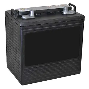 Leoch FFP8170 T875 battery 8v Industrial Monobloc batteries