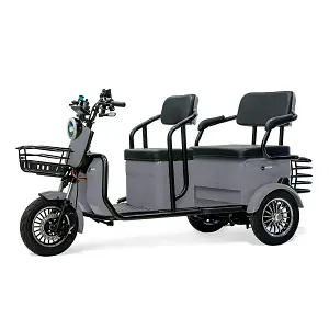Massimo MGC E-Trike 800w 60v 32ah battery pack