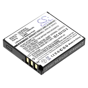 Panasonic battery DMW-BCE10 CGA S008 S008E VW-VBJ10 S008A/1B