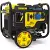 Champion CPG4000DHY generator battery replacement