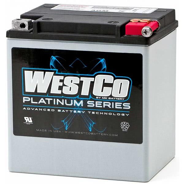 Harley Davidson FLRT Trike Freewheeler battery